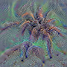 n01774750 tarantula